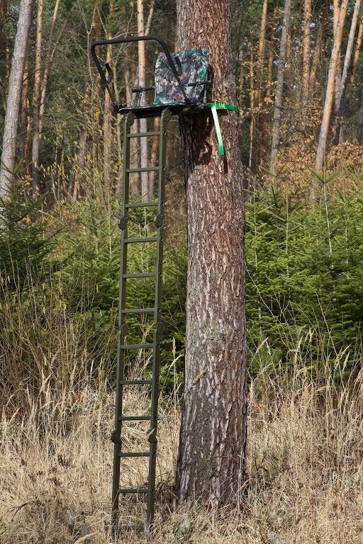 Ambona przegubowa oparta o sosnę w lesie