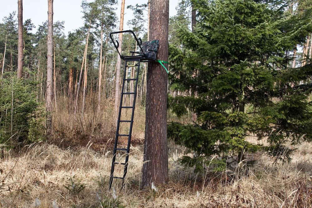 Ambona teleskopowa TAJGA przypięta do sosny w borze